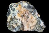 Cerussite Crystals with Bladed Barite on Galena - Morocco #100778-1